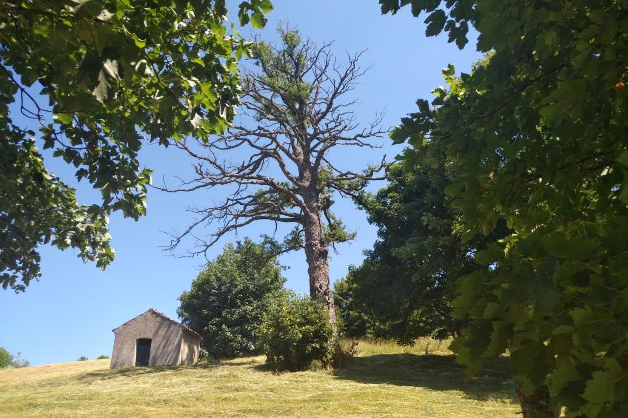 Torre Camigliati Dimora Storica Hotell Camigliatello Silano Exteriör bild